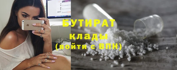 ГАЛЛЮЦИНОГЕННЫЕ ГРИБЫ Ельня